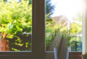 Should You Repair or Replace Your Outdated Windows?