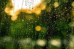 Tips for Eliminating Window Condensation
