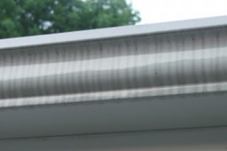 Tired of Tiger Stripes on Your Eavestroughs? Learn How to Get Rid of Them and Keep Them Away for Good