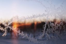 3 Common Wintertime Problems Homeowners Have with Their Windows